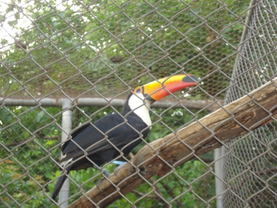 zoologico.JPG