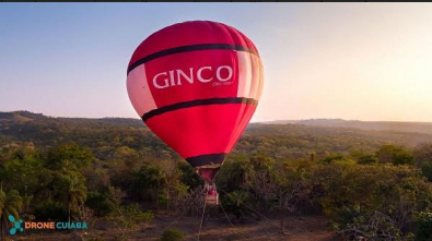 gincobaloes.jpg