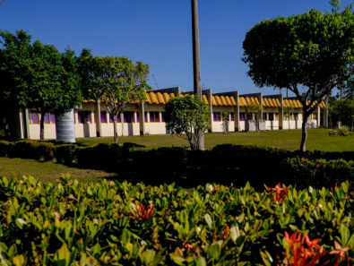 detran.jpg