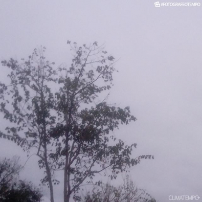 FRIO-CASTANHEIRA.jpg