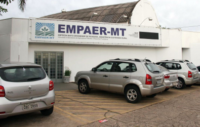 empaer.jpg