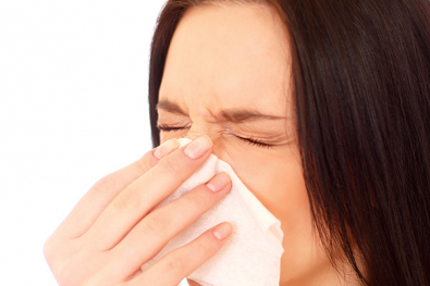 gripe2013.jpg