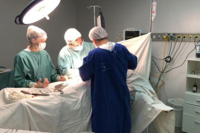 cirurgia.jpg