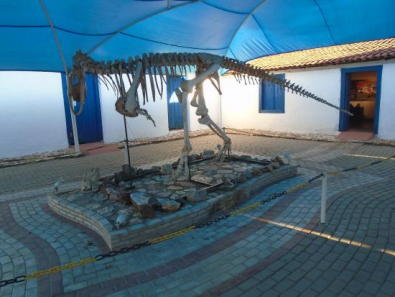 museu-pre-historico-casa.jpg