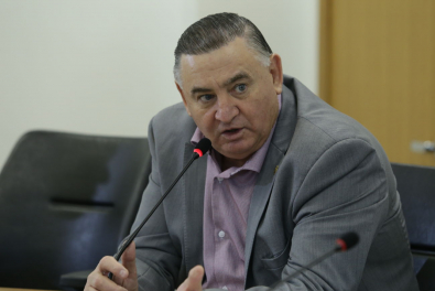 NININHO-DEPUTADO.jpg