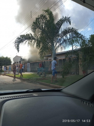 palmeiras.jpeg