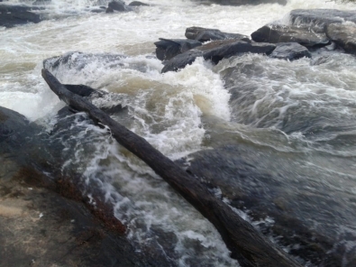 cachoeira.jpeg