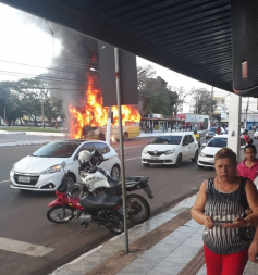 onibus-roo.jpg