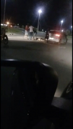 atropelamento, gravida