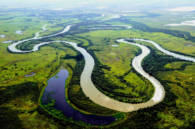 pantanal-mev8139.jpg