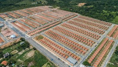 nicobaracat[.jpg