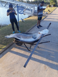 peixe, tia nair