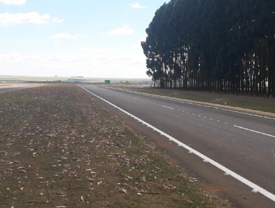 rodovia-campoverde.jpg