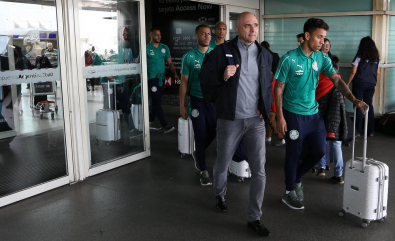 palmeiras