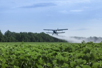 AGROTOXICO.jpg