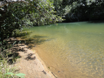 riocoxipodoouro/folhamax