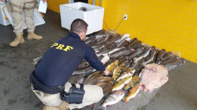 pescado2.jpeg