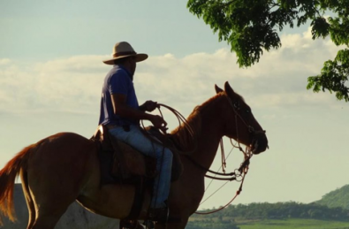 cavalo_0.png