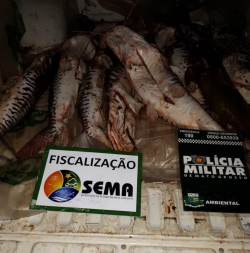 pescado-sema.jpg