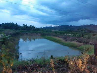 LAGO-GUARANTA.jpeg