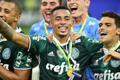 palmeiras.jpg