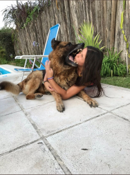 ARGENTINA CACHORRO 1.jpg