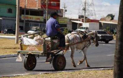 carroceiros.jpg