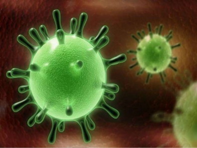 coronavirus.jpg