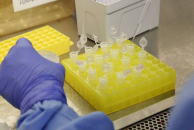 coronavirus.jpg