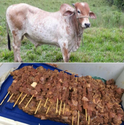 boi churrasco.jpg