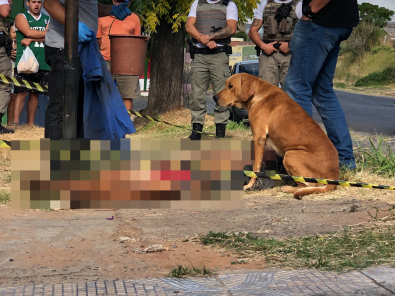 Homem morto e cachorro