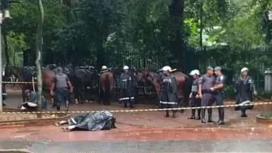 Cavalo eletrecutado