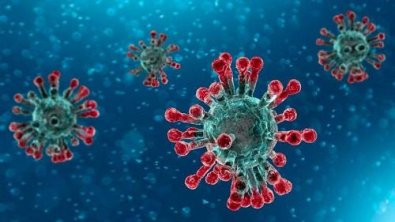 coronavirus-covid.jpg