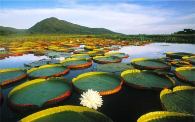 pantanal-pocone.jpg