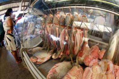 peixes.jpg
