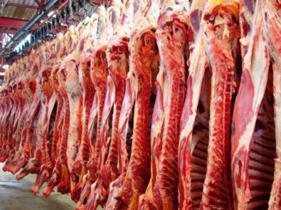 carne.jpg
