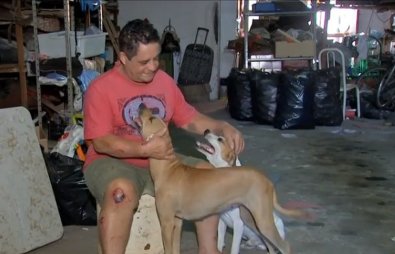 ‘Nasci de novo’, diz sapateiro salvo por cachorros