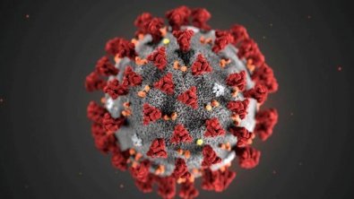 xblog_coronavirus_reuters.jpg.pagespeed.ic.EVALNgkdRA.jpg