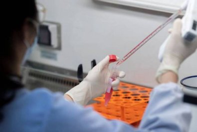 covid-coronavirus-folhamax.jpg