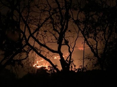 fogo-chapada.jpeg