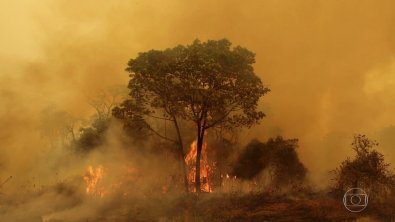 PANTANALCALOR.jpg
