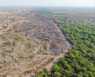 queimada-pantanal.jpeg