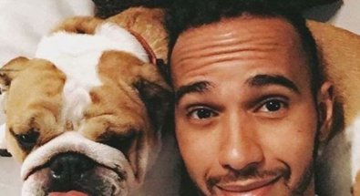 hamilton