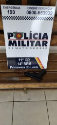 primevera-arma.jpg