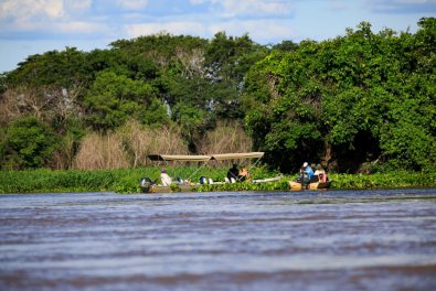 pantanal.jpg