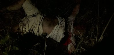 mortes-tangara3.jpg