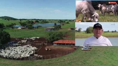 amadobatista-fazenda.jpg