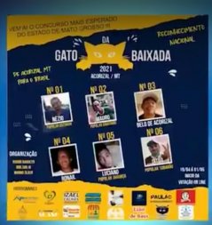 gato-baixada.jpg