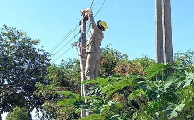 gata no poste