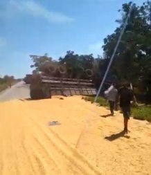 acidente com carga de milho